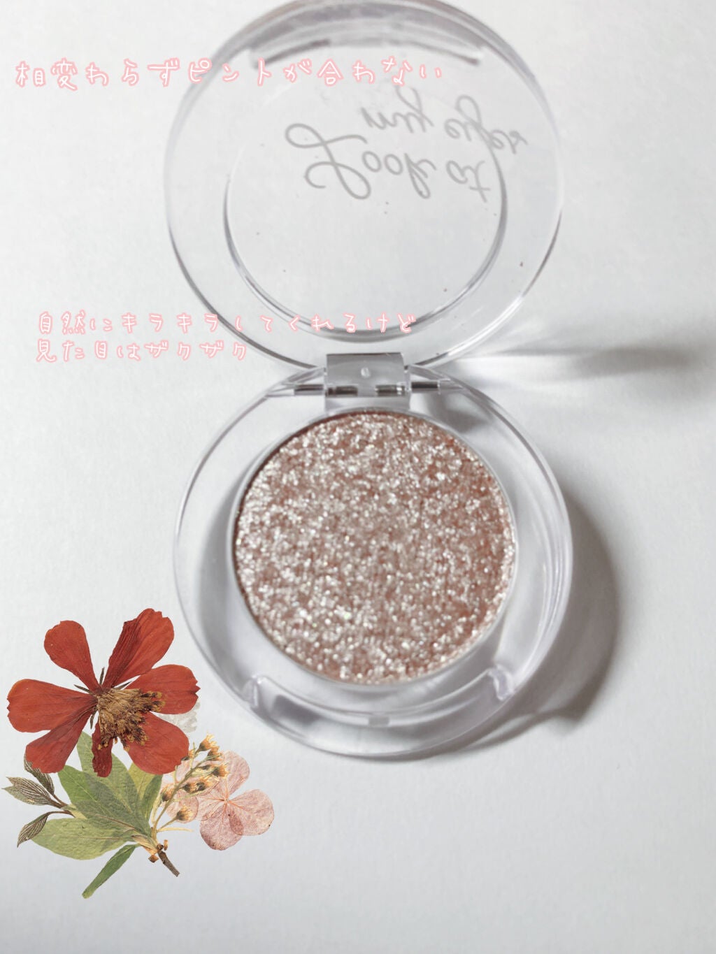 ルックアット マイアイベルベット/ETUDE/単色アイシャドウを使ったクチコミ(2枚目)