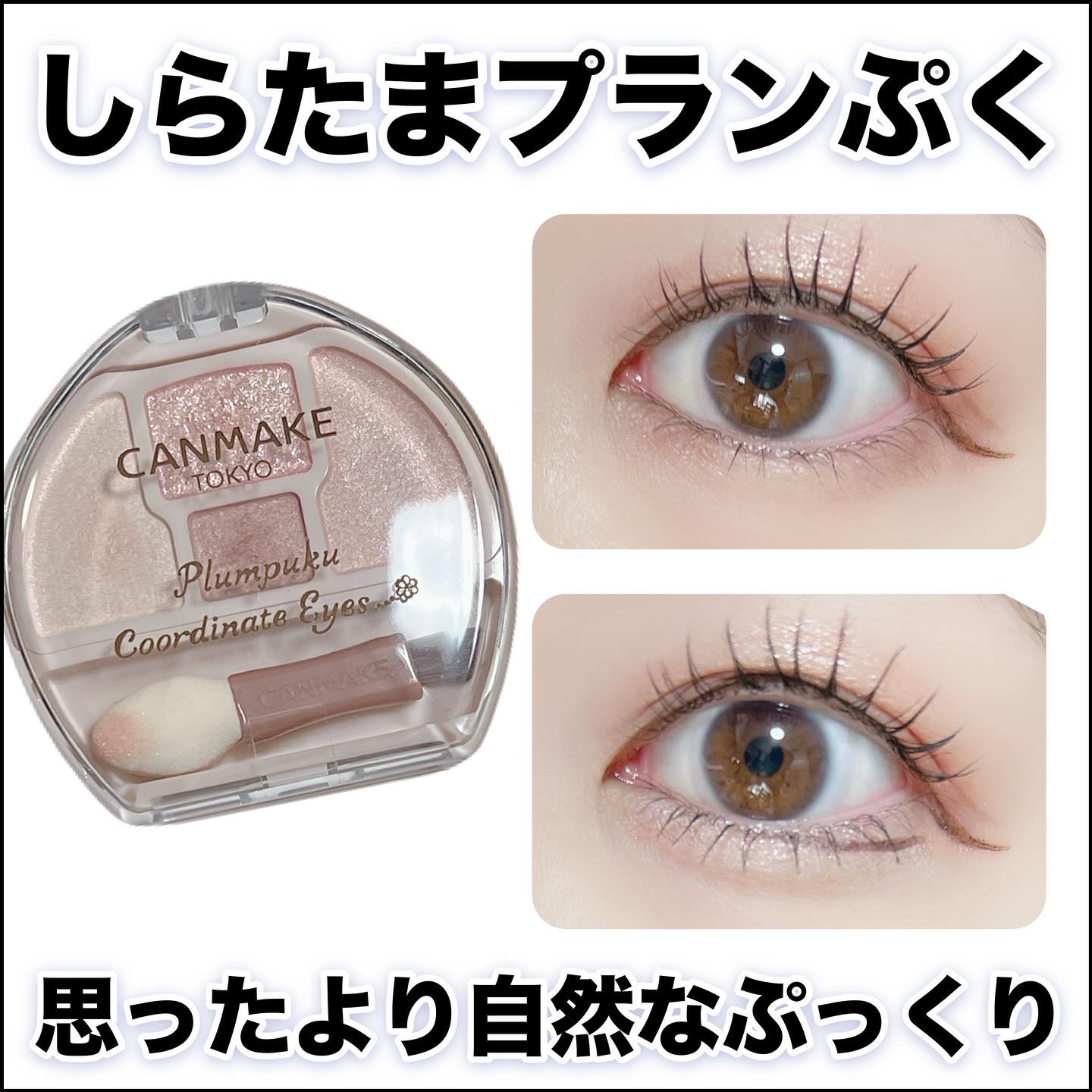 プランぷくコーデアイズNeo/キャンメイク/アイシャドウを使ったクチコミ（1枚目）