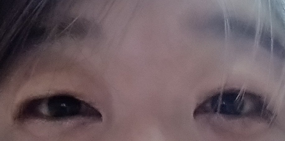 インザミラーアイパレット/Ririmew/アイシャドウパレットを使ったクチコミ（2枚目）