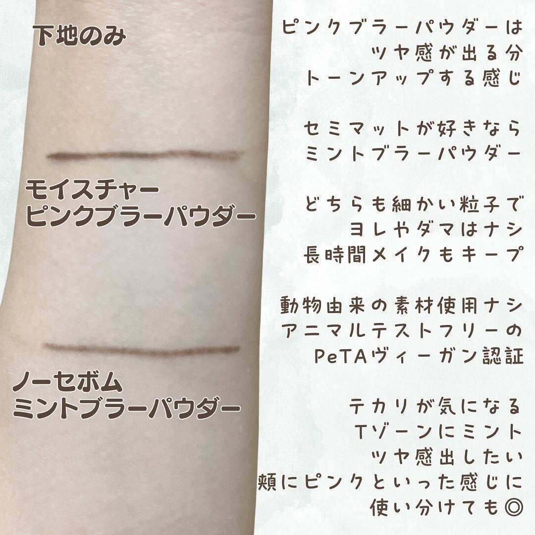 ノーセバムミントブラーパウダー /Vertty/ルースパウダーを使ったクチコミ(4枚目)