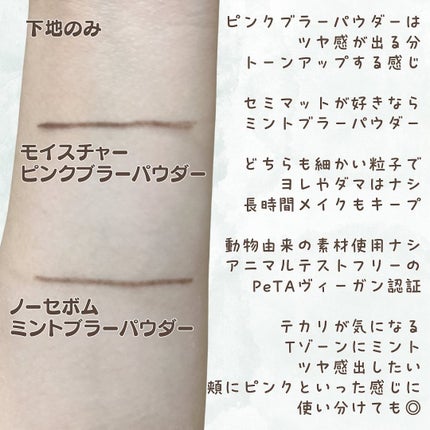 ノーセバムミントブラーパウダー /Vertty/ルースパウダーを使ったクチコミ(4枚目)