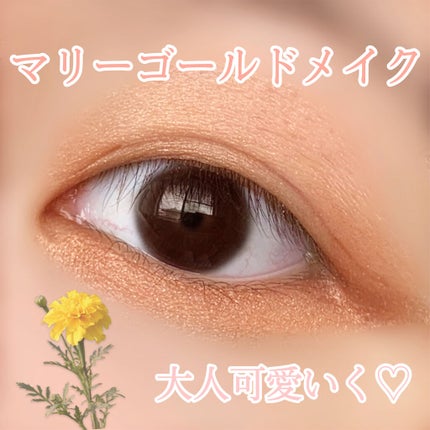 シルキースフレアイズ/キャンメイク/アイシャドウパレットを使ったクチコミ(1枚目)