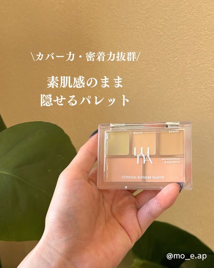 コンシールブレンダーパレット/LUNA/パレットコンシーラーを使ったクチコミ(1枚目)