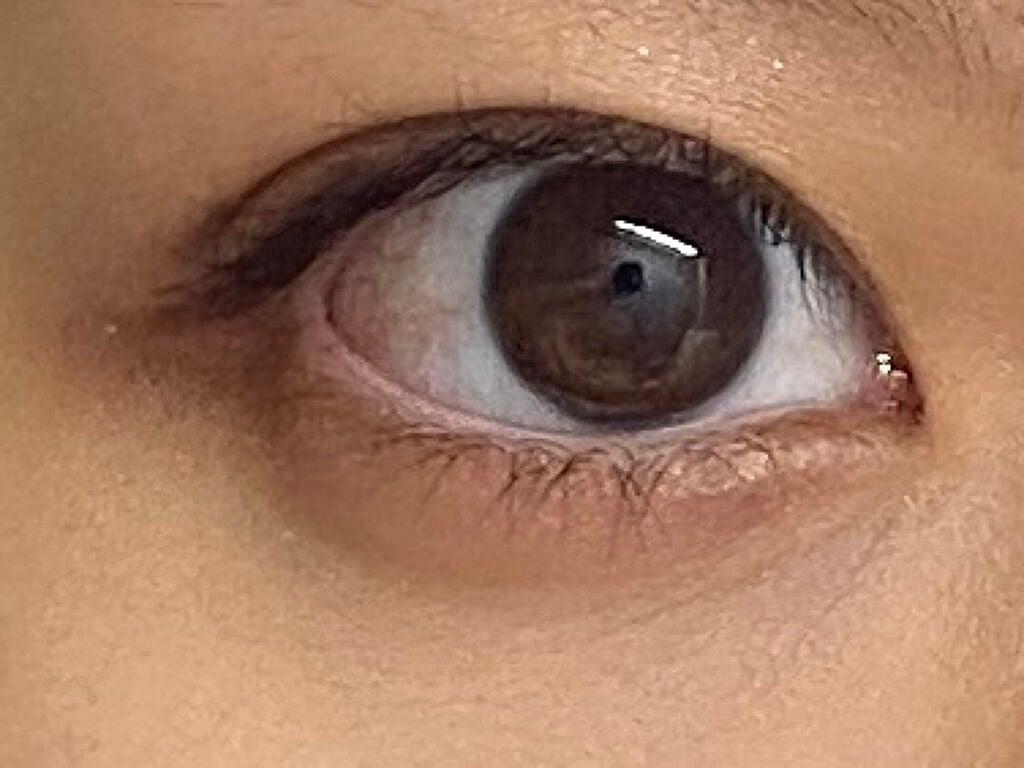 パノラマデザイン アイパレット/Visée/アイシャドウパレットを使ったクチコミ(7枚目)