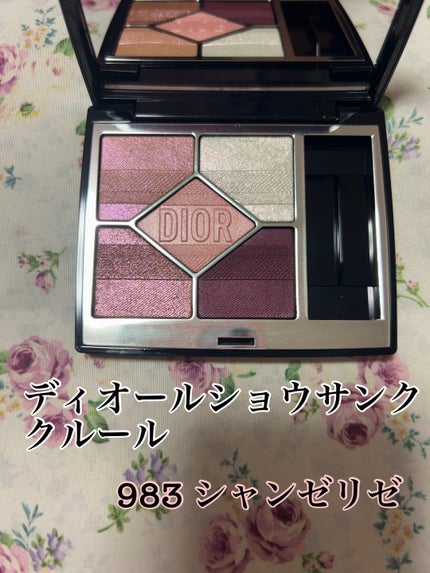 ディオールショウ サンク クルール(プラン ドゥ パリ コレクション限定品)/Dior/アイシャドウを使ったクチコミ(1枚目)