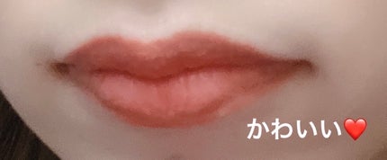 CKムースMリップ(通称:CKムース泥リップ)/COLORKEY/口紅を使ったクチコミ(5枚目)