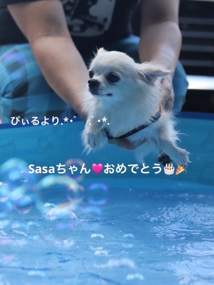 ネイルカラー 705/ANNA SUI/マニキュアの画像