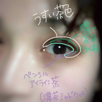 トニーモリー ポケモンアイパレット/TONYMOLY/アイシャドウパレットを使ったクチコミ(3枚目)