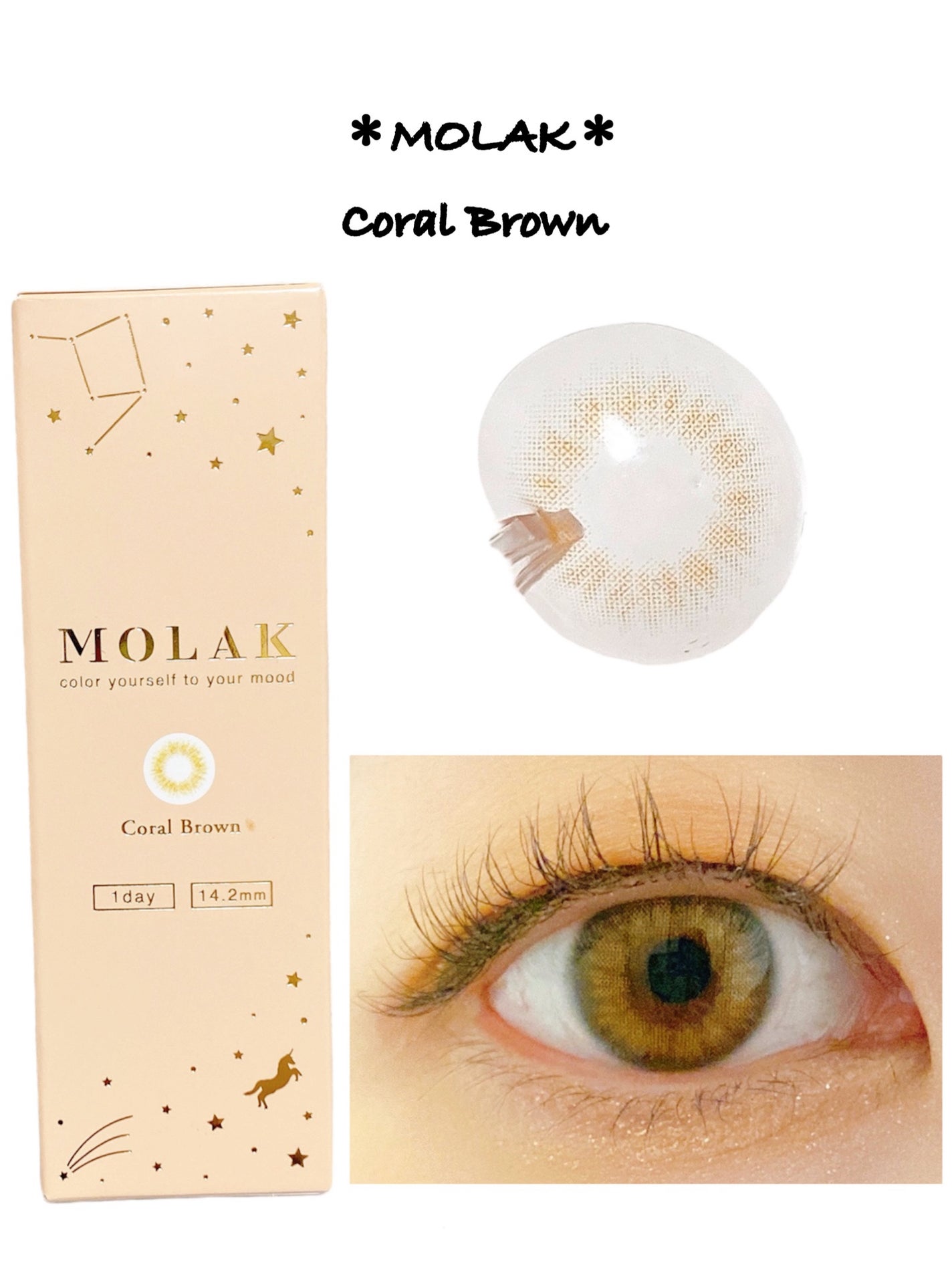MOLAK 1day/MOLAK/ワンデー(1DAY)カラコンを使ったクチコミ(6枚目)