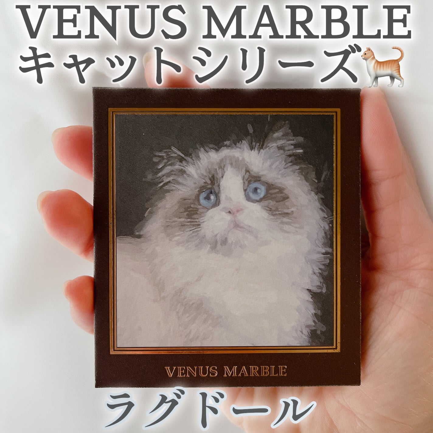 Venus Marble アイシャドウキャットシリーズ/Venus Marble/アイシャドウパレットを使ったクチコミ(1枚目)