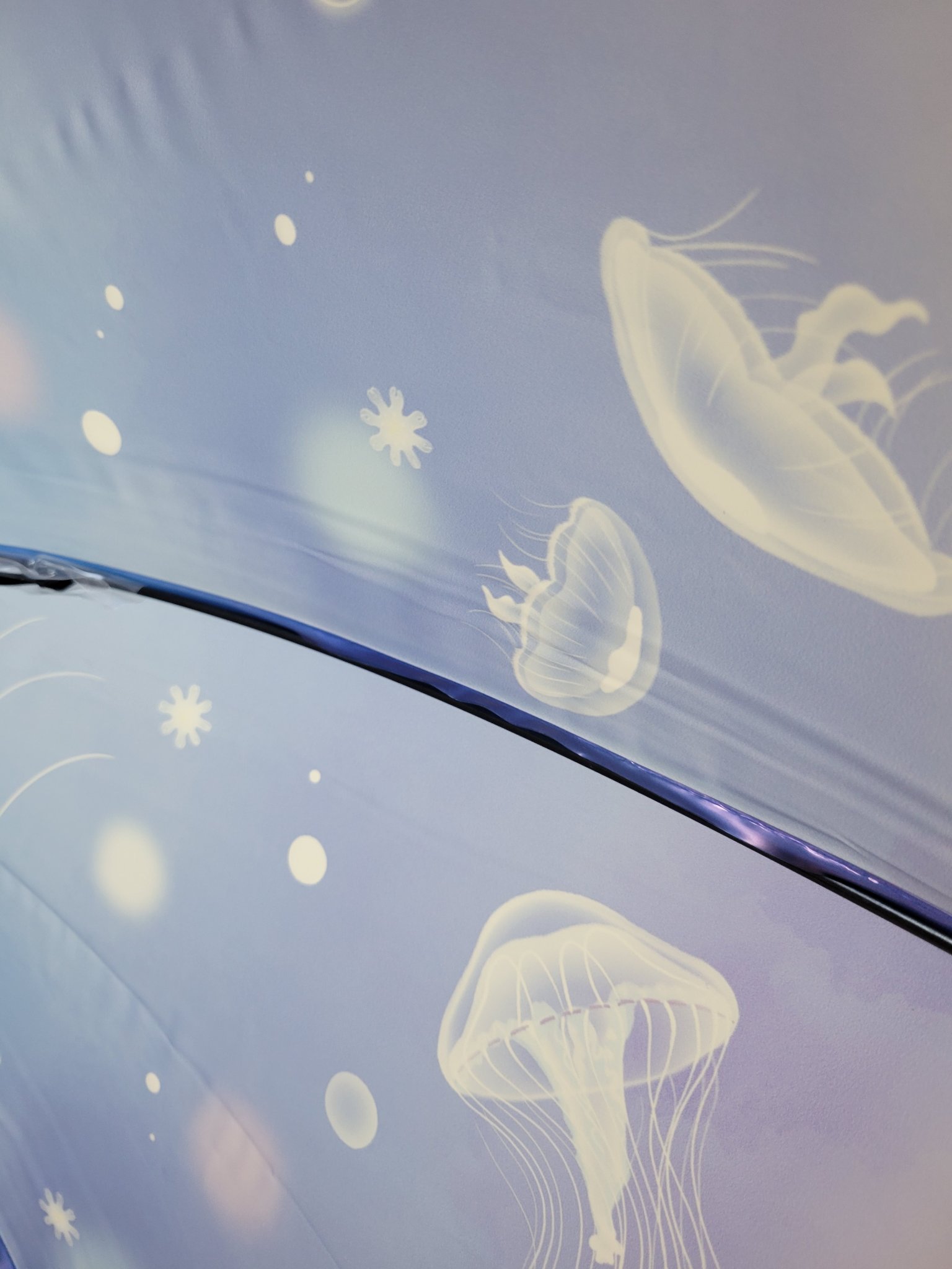 えのすい×Wpc. アンブレラ/Wpc./その他を使ったクチコミ（2枚目）