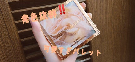 VenusMarble 9色アイシャドウパレット/Venus Marble/アイシャドウパレットを使ったクチコミ(1枚目)