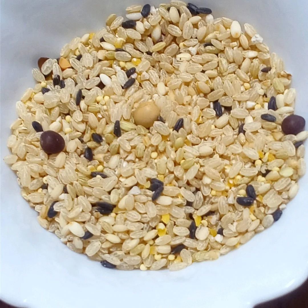 北海道玄米雑穀/玄米酵素/食品を使ったクチコミ（2枚目）