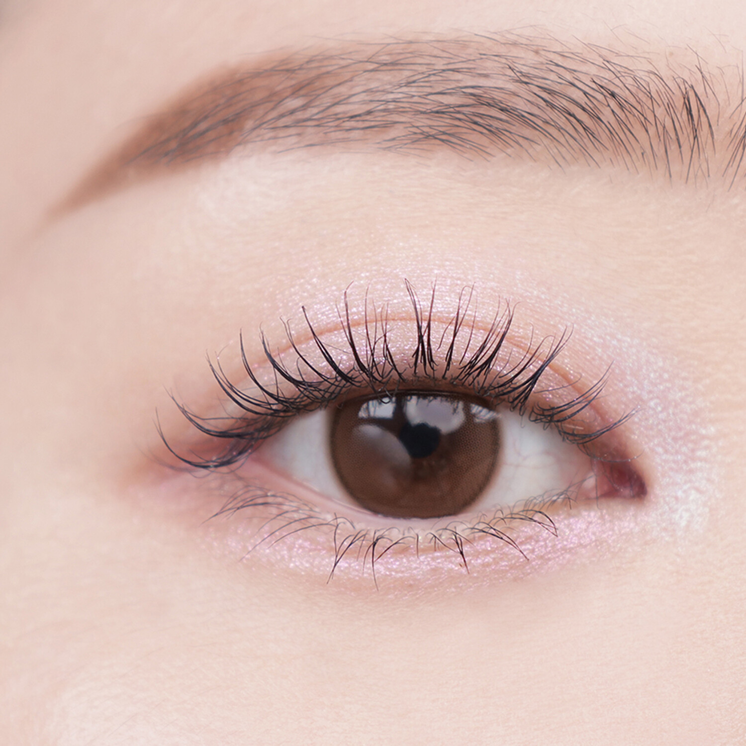 ティントリーアイパレット 01.グリトリー