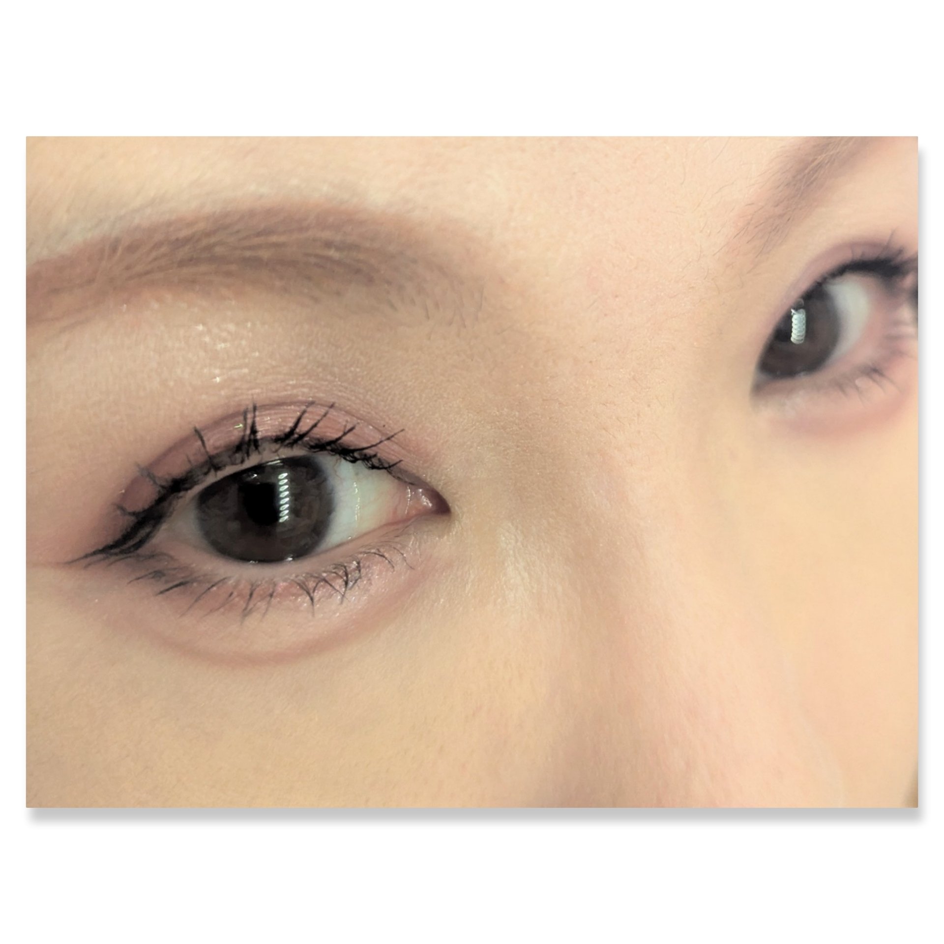 ジューシーピュアアイズ/キャンメイク/アイシャドウパレットを使ったクチコミ（2枚目）