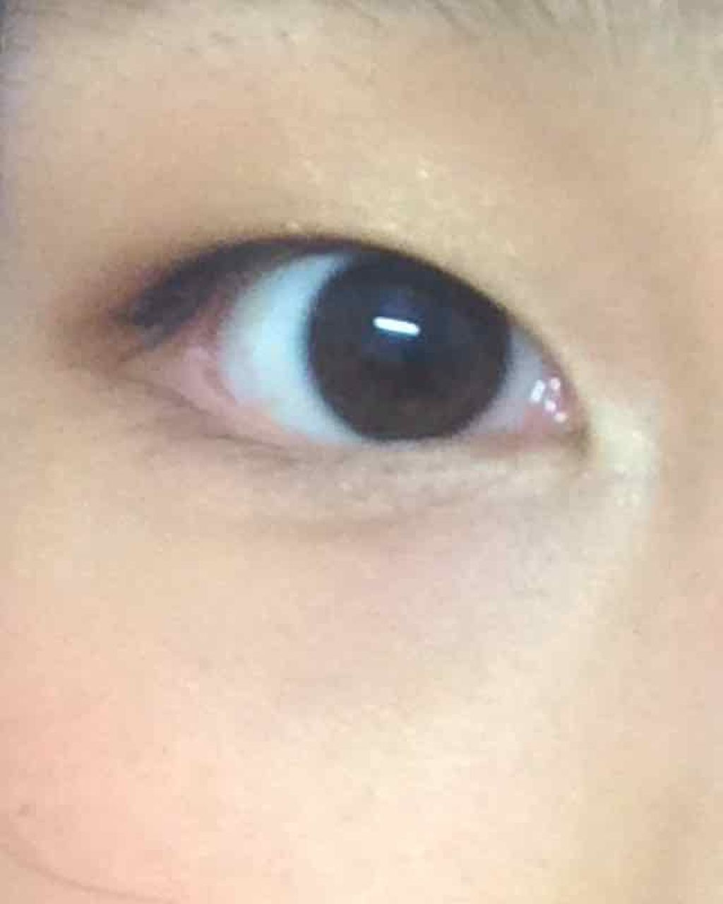 デザイニングアイブロウN/KATE/パウダーアイブロウを使ったクチコミ（2枚目）