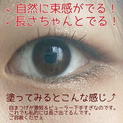 ミゼルエディ カールアップマスカラ/ミゼルエディ/マスカラを使ったクチコミ(2枚目)