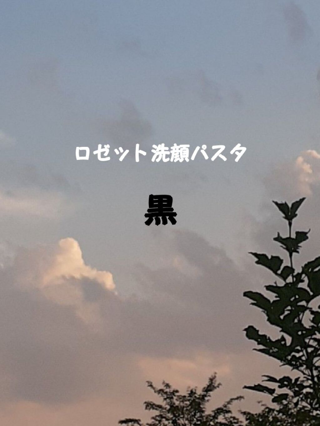 ロゼット 洗顔パスタ　荒性肌/ロゼット/洗顔フォームを使ったクチコミ（1枚目）