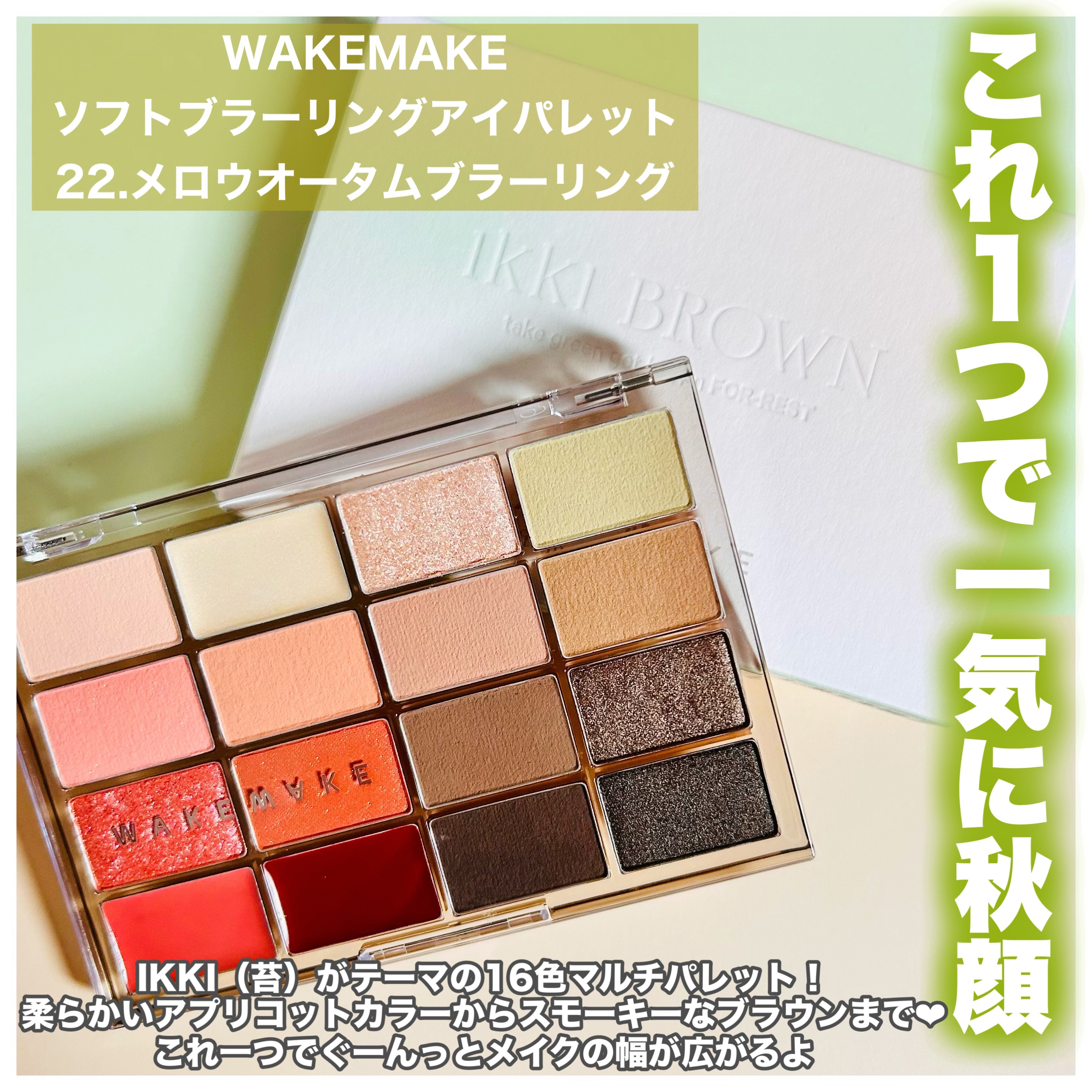 ソフトブラーリングアイパレット/wakemake/アイシャドウパレットを使ったクチコミ（2枚目）