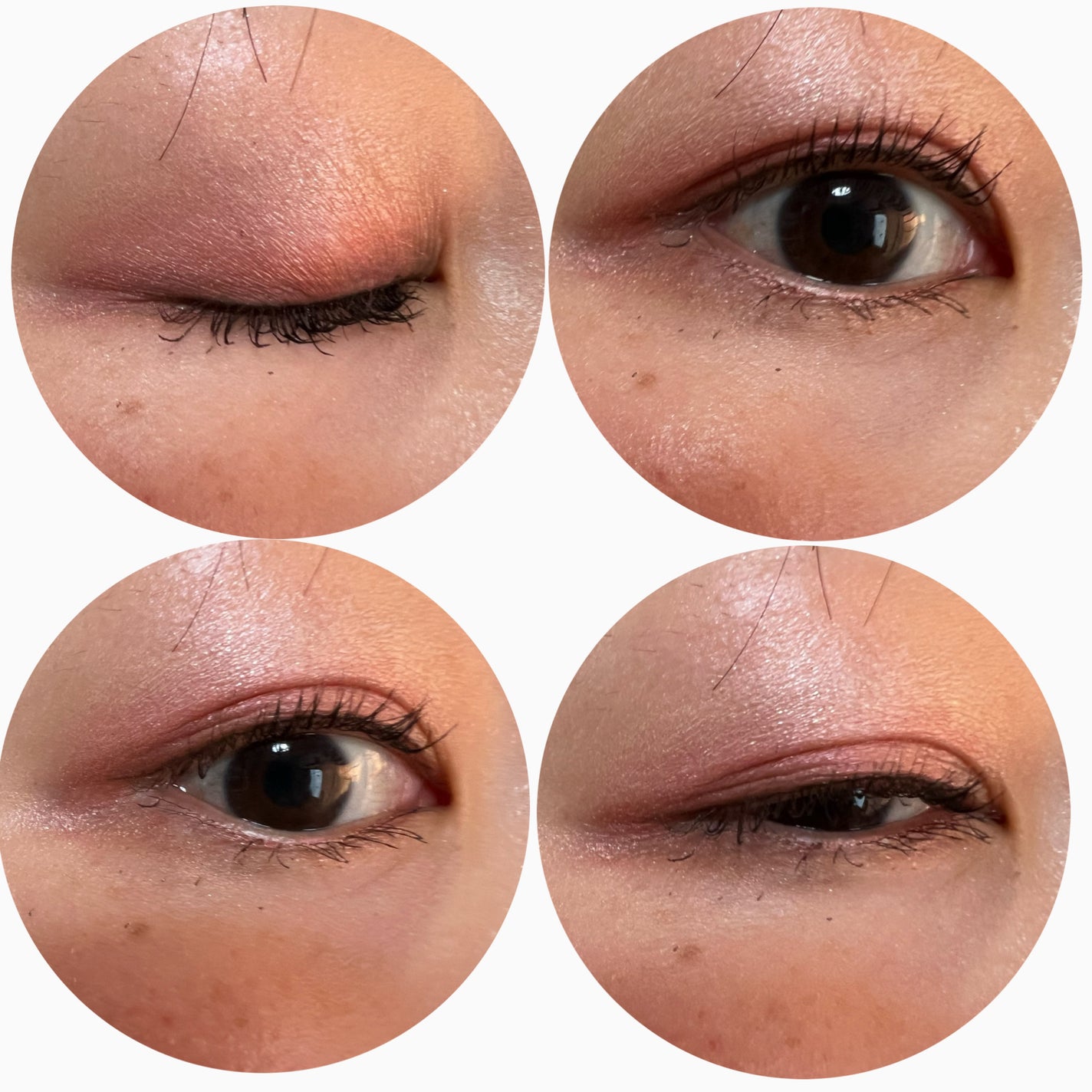 【旧】ディオールショウ サンク クルール (スプリング コレクション 2024 限定品)/Dior/アイシャドウを使ったクチコミ(3枚目)