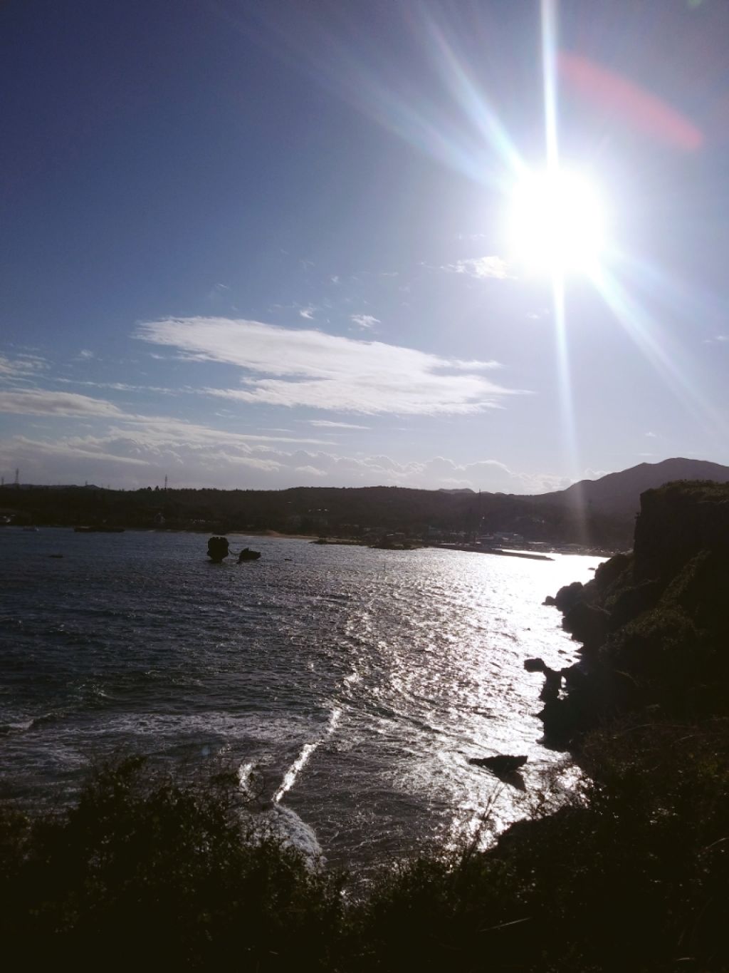 極潤 ヒアルロン液(旧)/肌ラボ/化粧水を使ったクチコミ(1枚目)