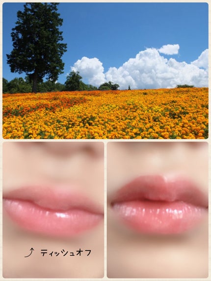 リップティントシロップ/キャンメイク/リップティントを使ったクチコミ(4枚目)