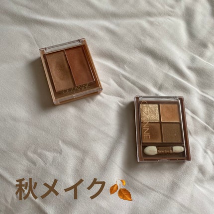 ビタートーンアイシャドウ/CEZANNE/パウダーアイシャドウを使ったクチコミ(1枚目)