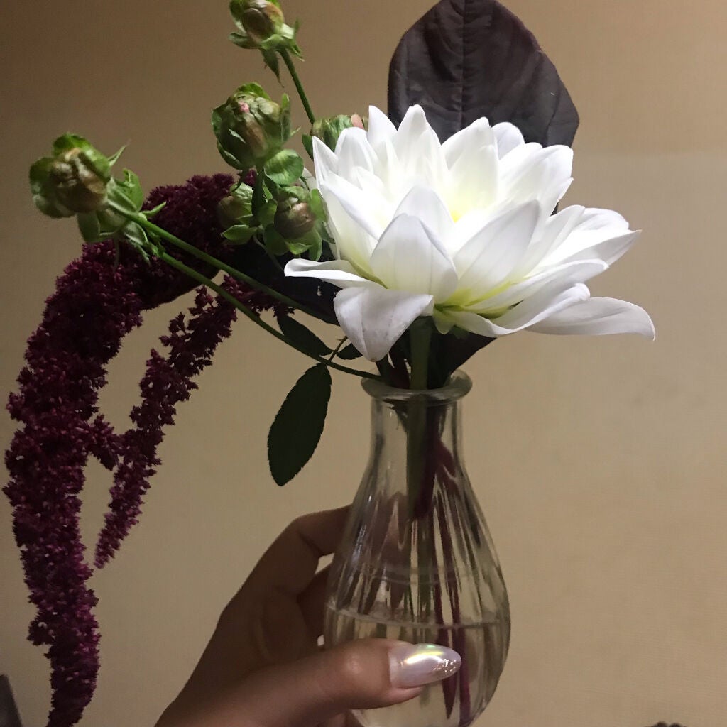 ぴっぴちゃん(。•ө•。) on LIPS 「【7月のお花】✍お花長持ち豆知識✍今月からお花も雑談として載せ..」(1枚目)