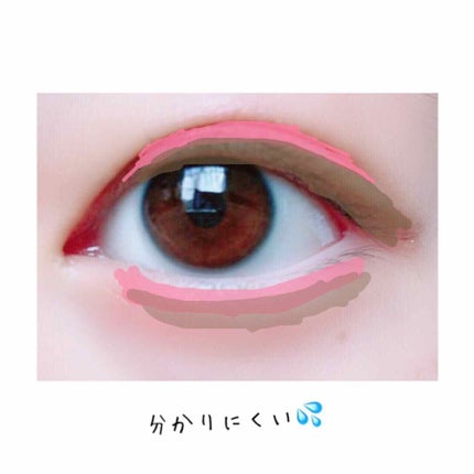 ハリネズミ🦔 on LIPS 「こんにちは~ハリネズミ🦔です♡今回は初めてのアイシャドウメイ..」(2枚目)