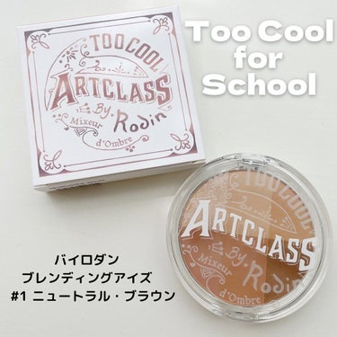 ARTICLASS BLENDING EYES/too cool for school/アイシャドウパレットを使ったクチコミ（1枚目）