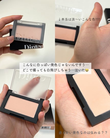 ブラーフィニシュブラッシャー/Dinto/パウダーチークを使ったクチコミ(2枚目)