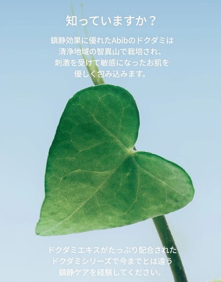 ドクダミカーミングタッチスポットパッド/Abib /トナーパッドを使ったクチコミ(6枚目)