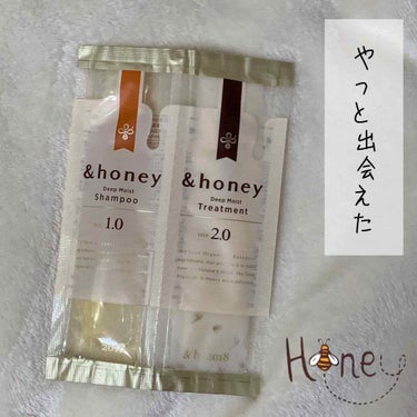 ディープモイスト シャンプー1.0／ヘアトリートメント2.0/&honey/シャンプー・コンディショナーを使ったクチコミ（1枚目）