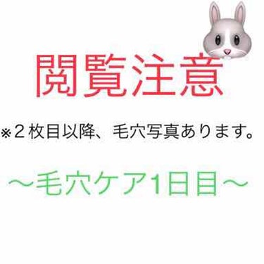 ＝＝＝＝＝＝＝＝＝＝＝＝＝＝＝
毛穴奮闘記vol.2    〜ケア1日目〜
＝＝＝＝＝＝＝＝＝＝＝＝＝＝＝

さぁ始まりました毛穴撲滅運動。
ケアするために、今までのスキンケアを全て見直しました。
毛穴