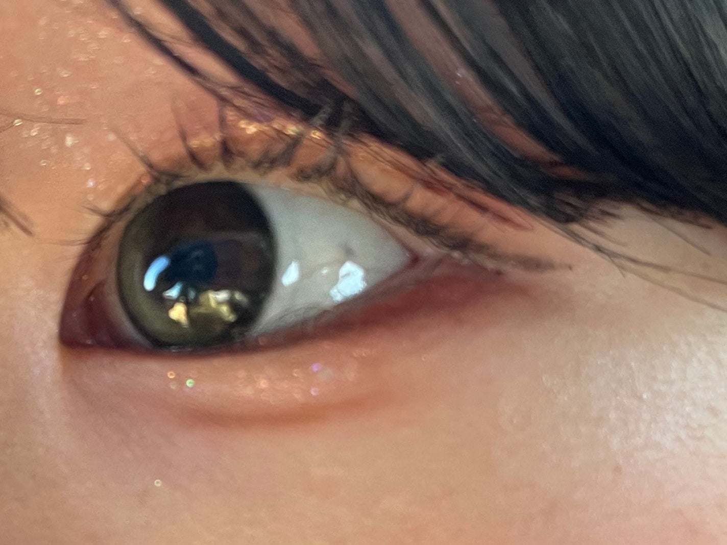 Secretive Kristen 1day/Hapa kristin/ワンデー(1DAY)カラコンを使ったクチコミ(3枚目)
