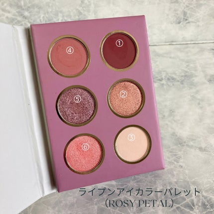 ライプンアイカラーパレット/FRESHO2/アイシャドウパレットを使ったクチコミ(3枚目)