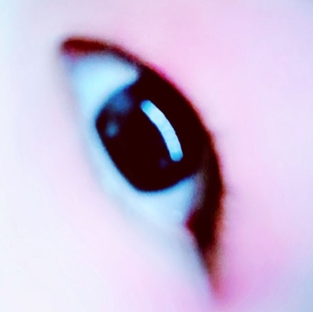 インク ベルベット/PERIPERA/口紅を使ったクチコミ(2枚目)