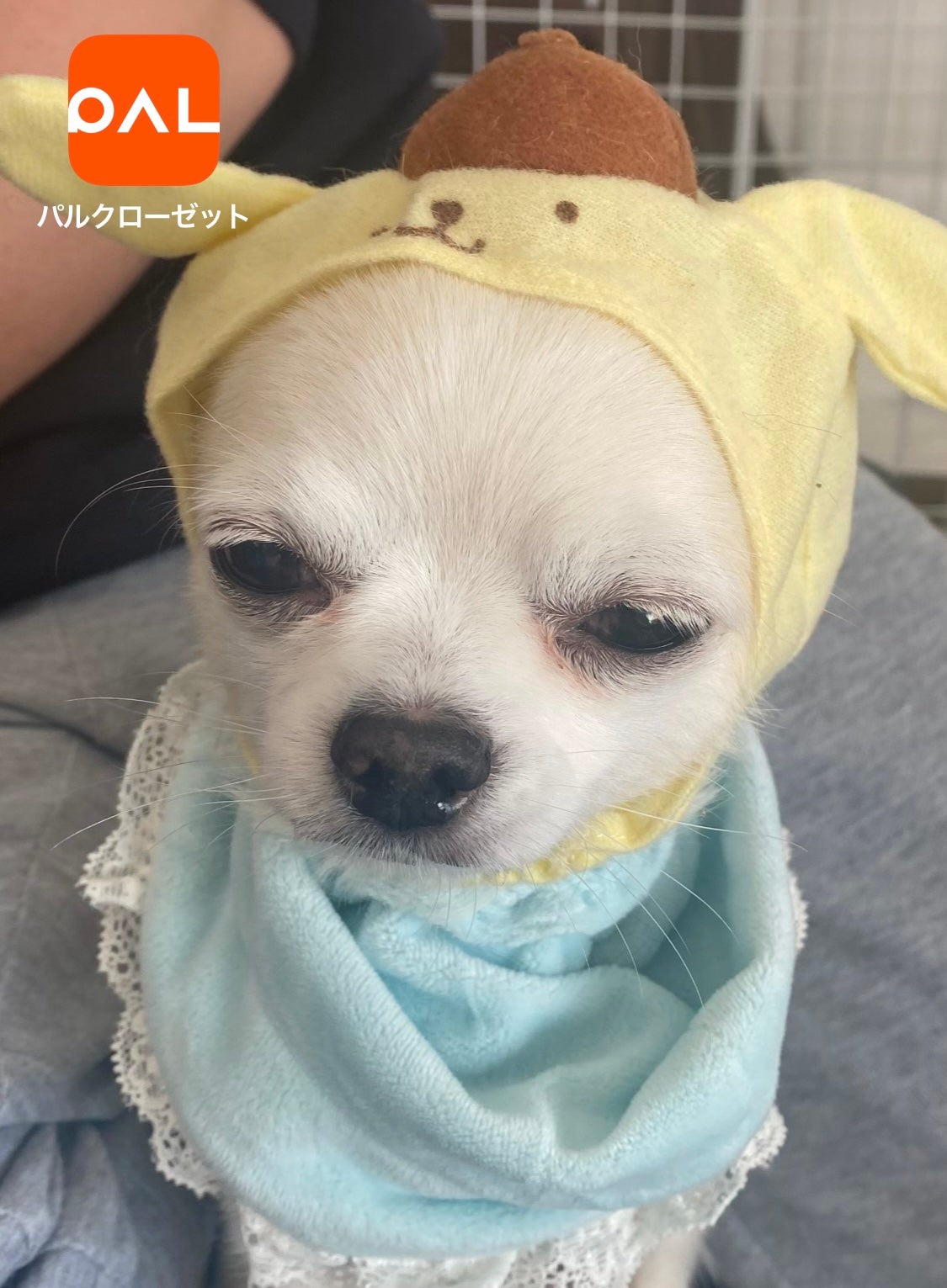 チーク ポップ/CLINIQUE/パウダーチークを使ったクチコミ(6枚目)