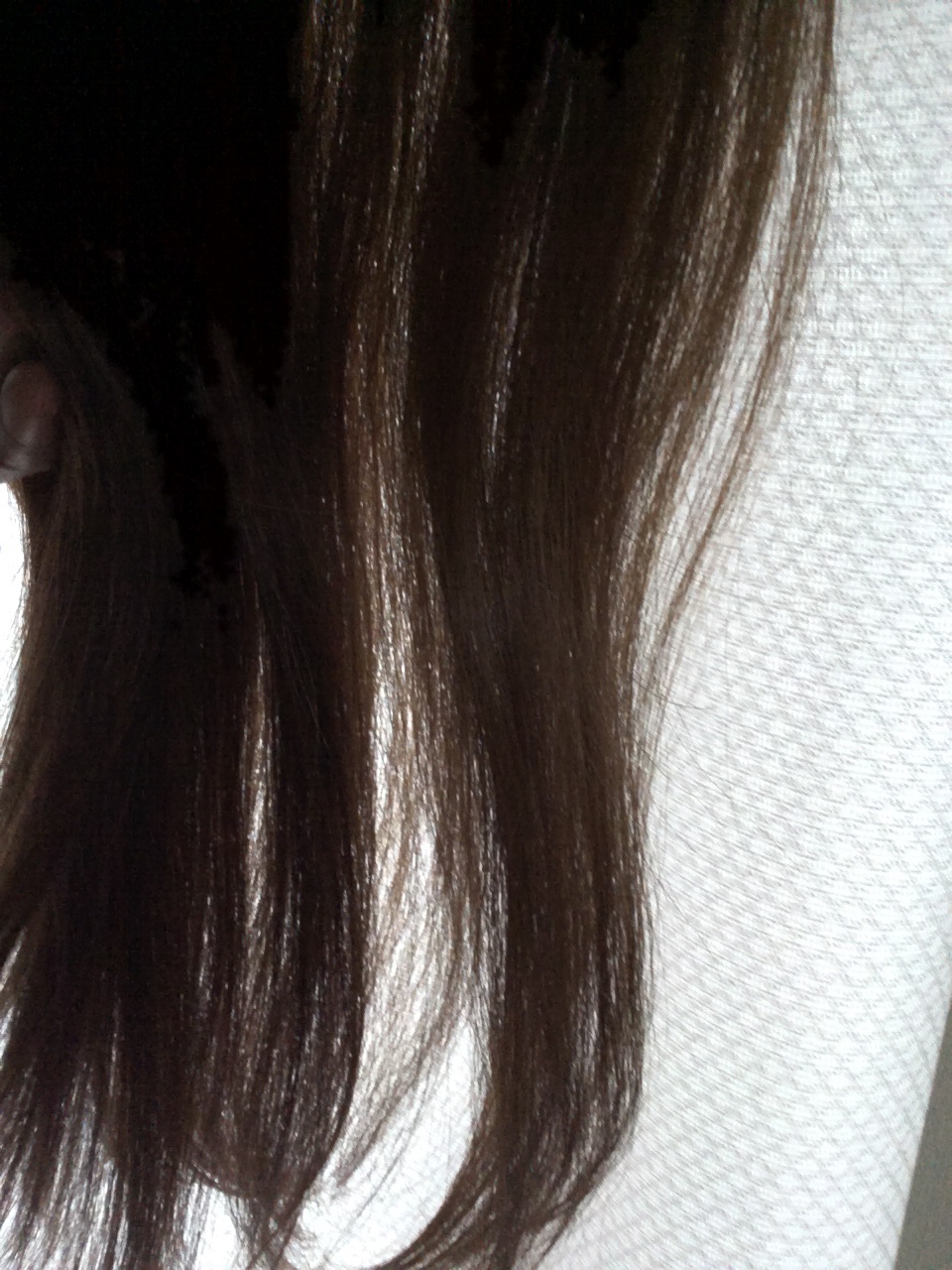 モイスチャーライジング＆リペアブースター 導入液ヘアミスト/エイトザタラソ/ヘアミストを使ったクチコミ（1枚目）