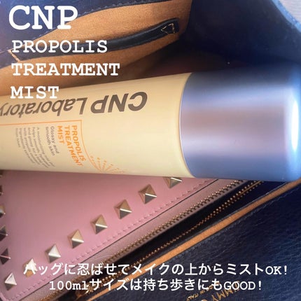 プロP ミスト/CNP Laboratory/ミスト状化粧水を使ったクチコミ(4枚目)