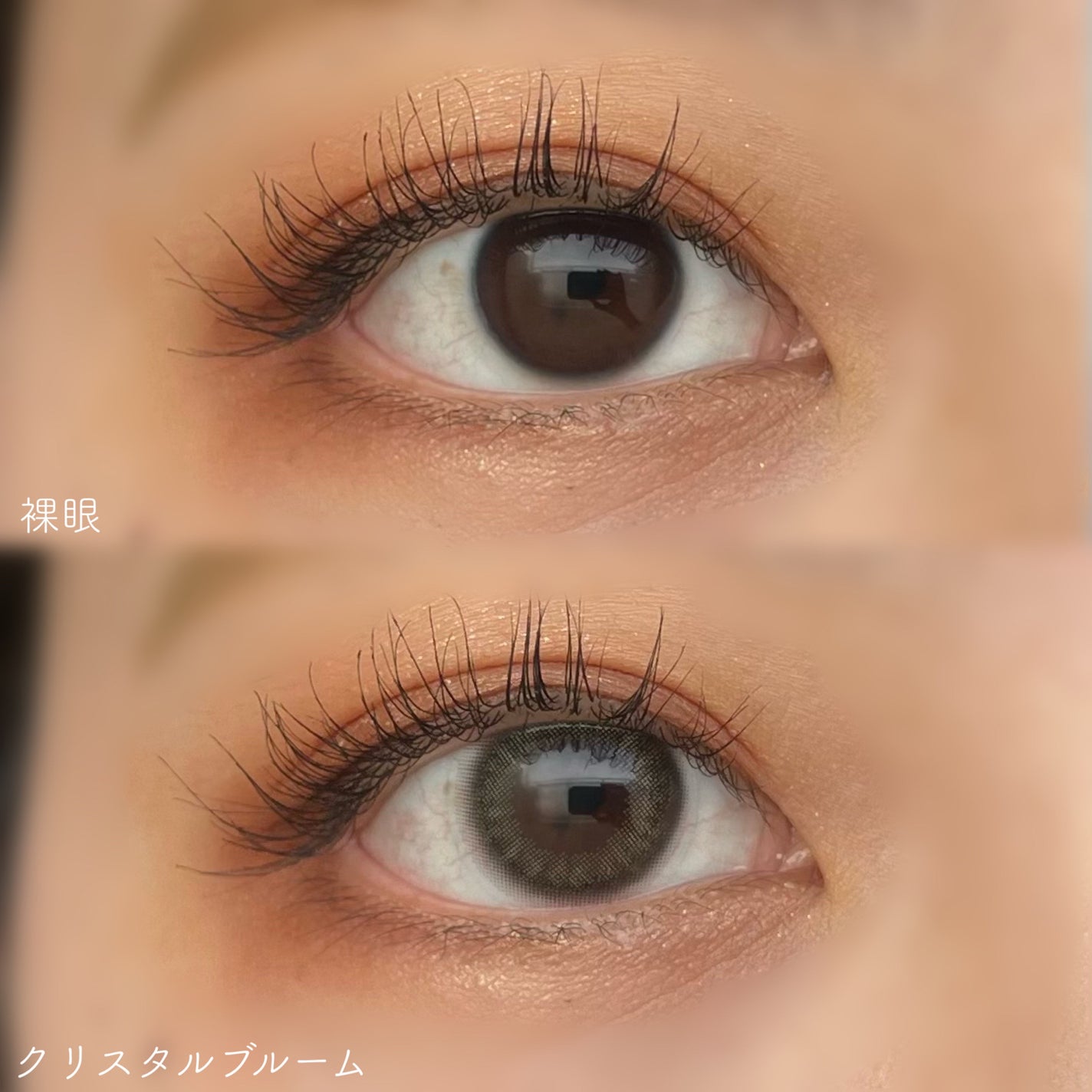 TOPARDS 1day/TOPARDS/ワンデー(1DAY)カラコンを使ったクチコミ(5枚目)