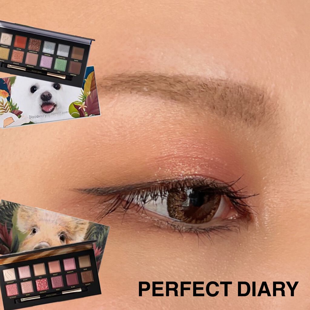 エクスプローラ12色 動物アイシャドウパレット/PERFECT DIARY/アイシャドウパレットを使ったクチコミ（1枚目）