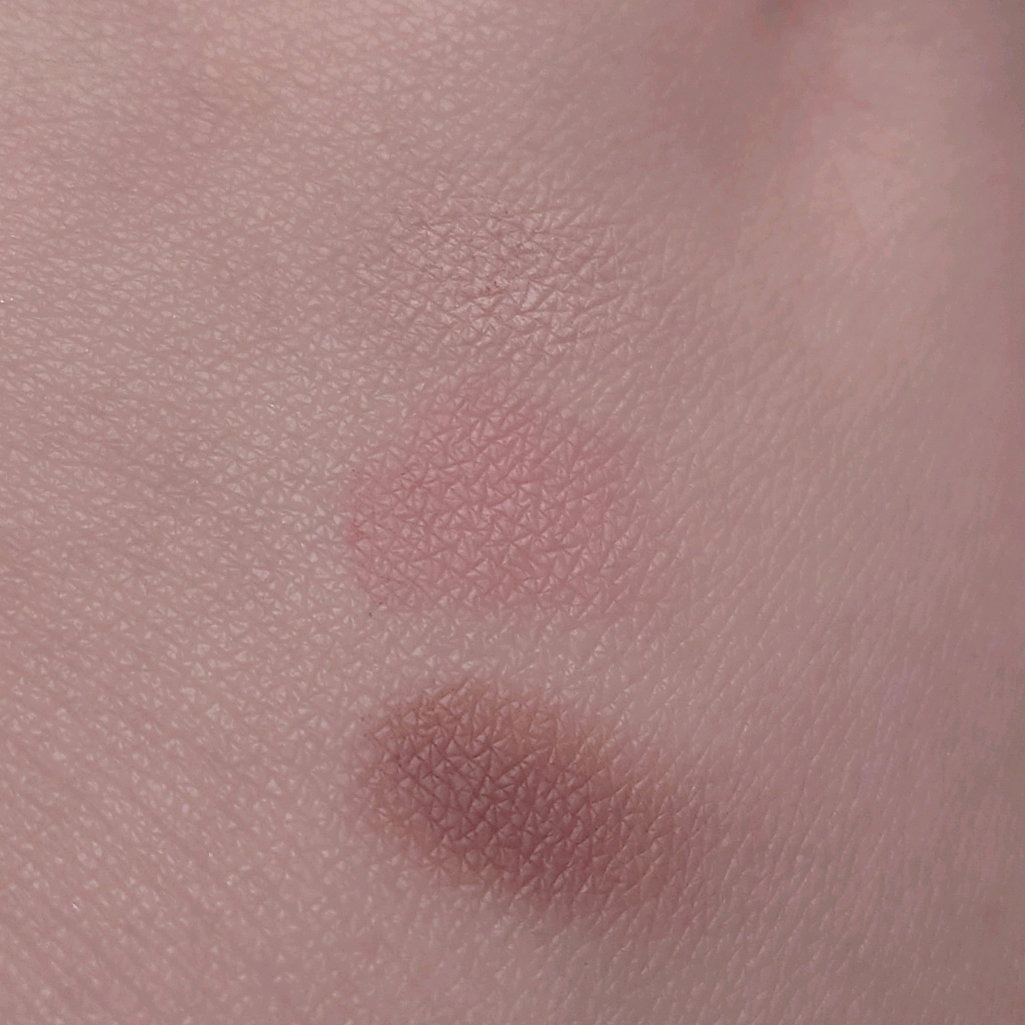 ミックスアイブロウカラー/キャンメイク/パウダーアイブロウを使ったクチコミ（2枚目）