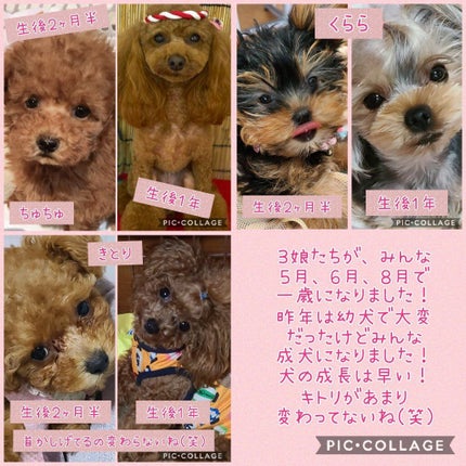 ルビダズル リップカラー/クリスチャン ルブタン/口紅を使ったクチコミ(10枚目)