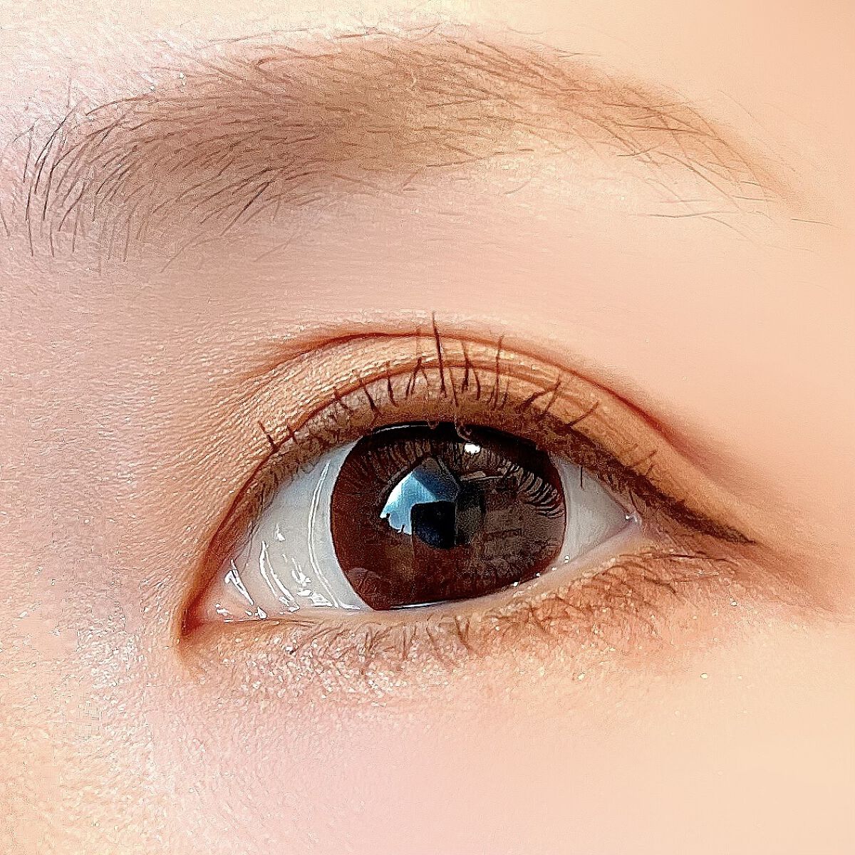 【旧】サンク クルール クチュール/Dior/アイシャドウパレットを使ったクチコミ（2枚目）