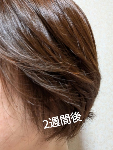 デザイニングカラー/CIELO/ヘアカラーを使ったクチコミ(5枚目)