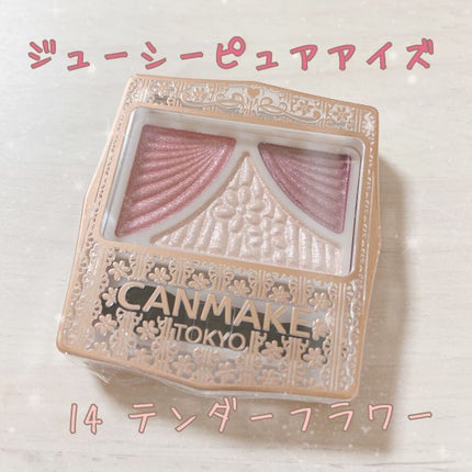 ジューシーピュアアイズ/キャンメイク/アイシャドウパレットを使ったクチコミ(1枚目)