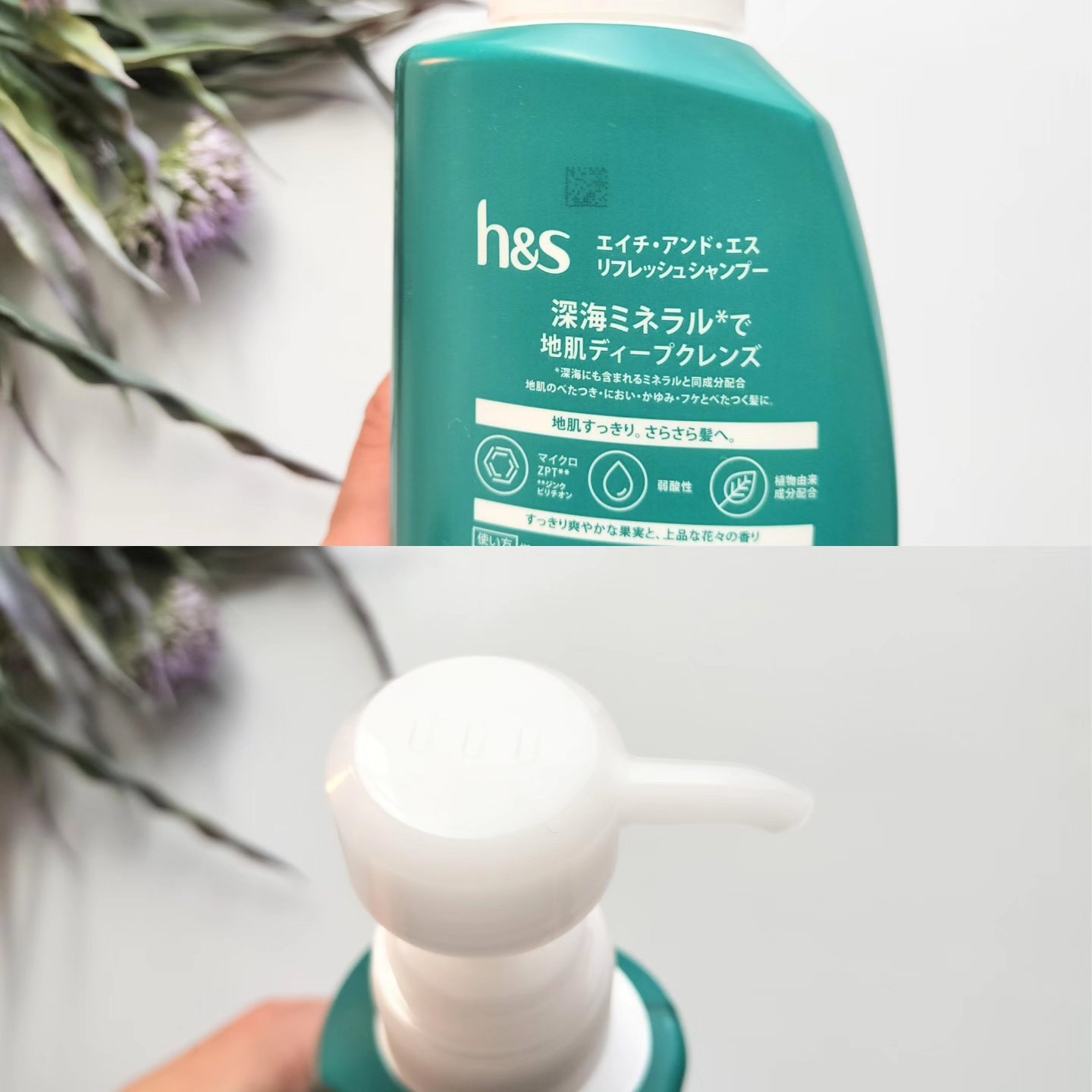 h&s リフレッシュ シャンプー／コンディショナーのクチコミ「

エイチ アンド エス 

リフレッシュシャンプー


h&sのヘアケア好き〜。

以前から.....」（2枚目）