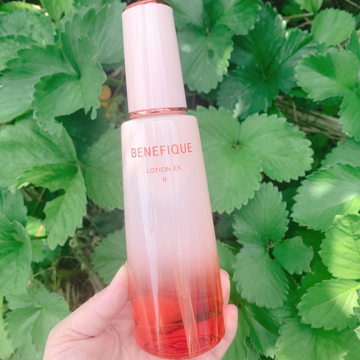 ベネフィーク ローションEX Ⅱ/BENEFIQUE/化粧水を使ったクチコミ（1枚目）