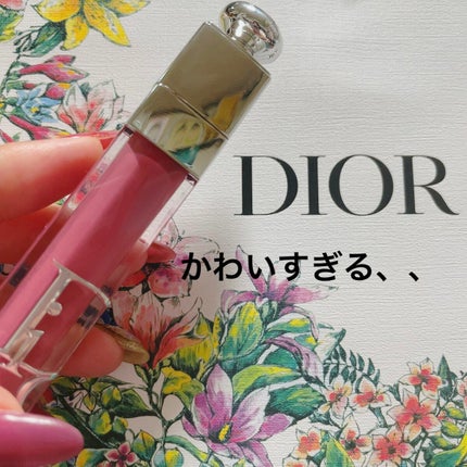 【旧】ディオール アディクト リップ マキシマイザー/Dior/リップグロスを使ったクチコミ(1枚目)